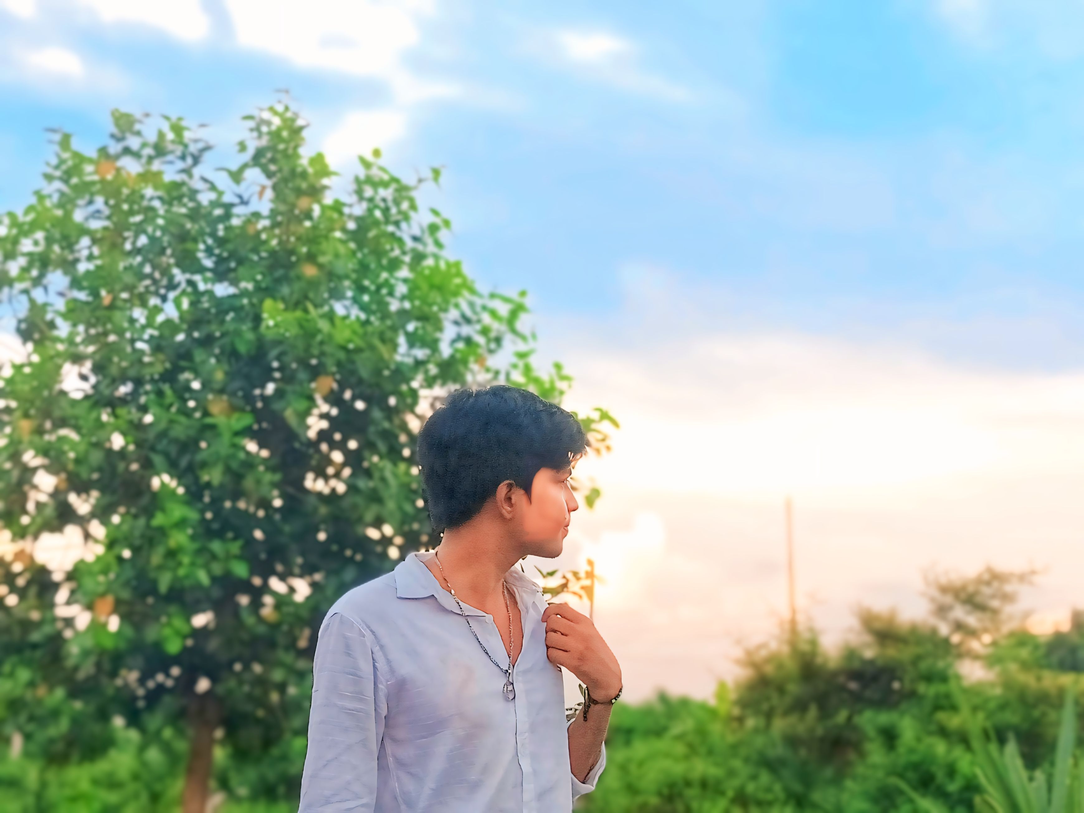Profile-Image